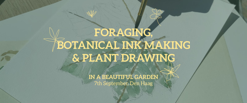 Foraging, botanical ink making and plant drawing - Hipsy
