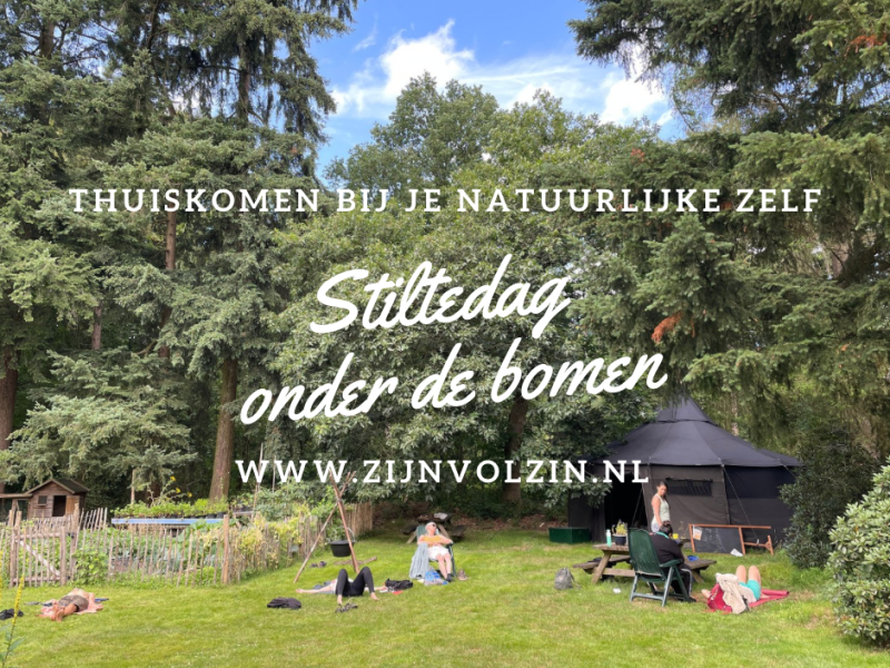 Stiltedag onder de bomen 17 okt