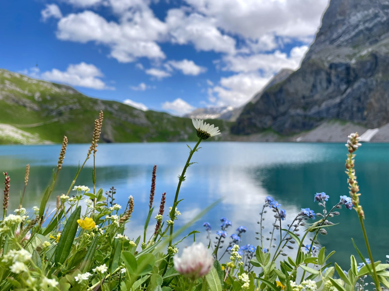 Abundant Hike: Hike, Dance & More in de Zwitserse Alpen
