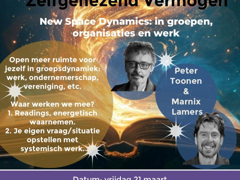 Zelfgenezend Vermogen New Space Dynamics: in groepen & organisaties