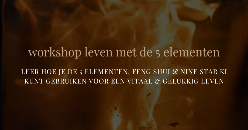 Workshop leven met de 5 elementen