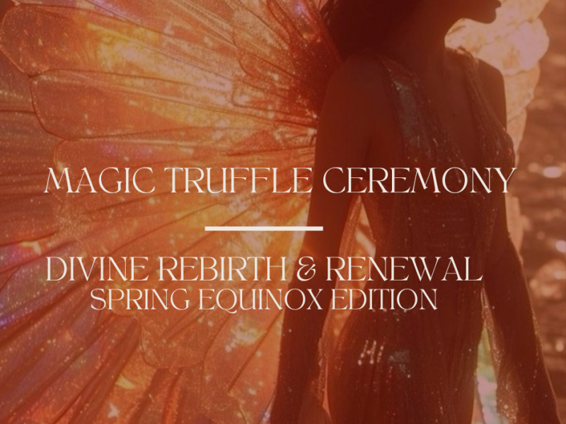 Magische truffelceremonie met Reiki - Divine Rebirth & Renewal