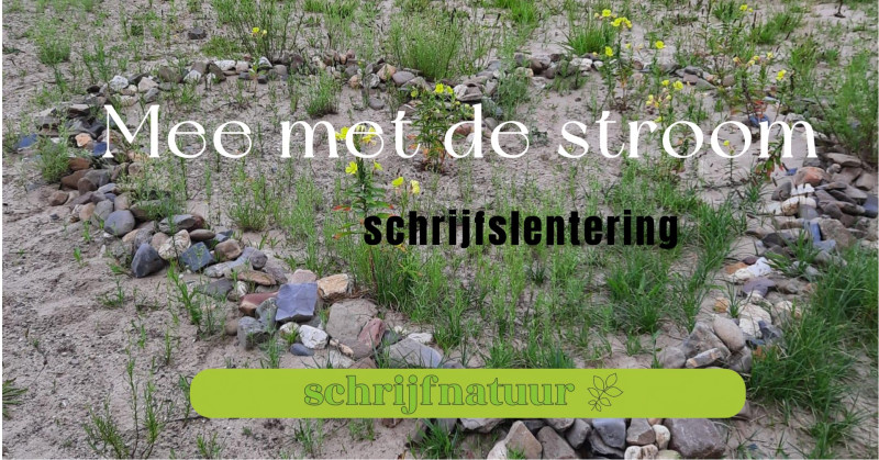 Mee met de stroom, Schrijfslentering - Schrijven, Taoïsme, Creativiteit