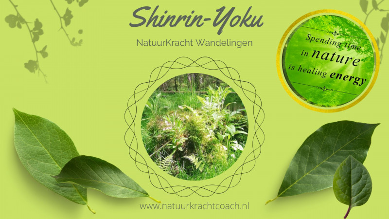 ShinRin-Yoku NatuurKracht Wandeling - Forest Bathing - Shinrin Yoku, Mini retreat in nature, Medicine Walk