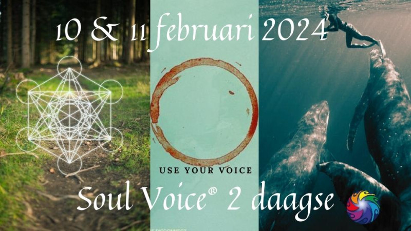 Dé Soul Voice 2 daagse workshop - Soundhealing, Overige Workshops