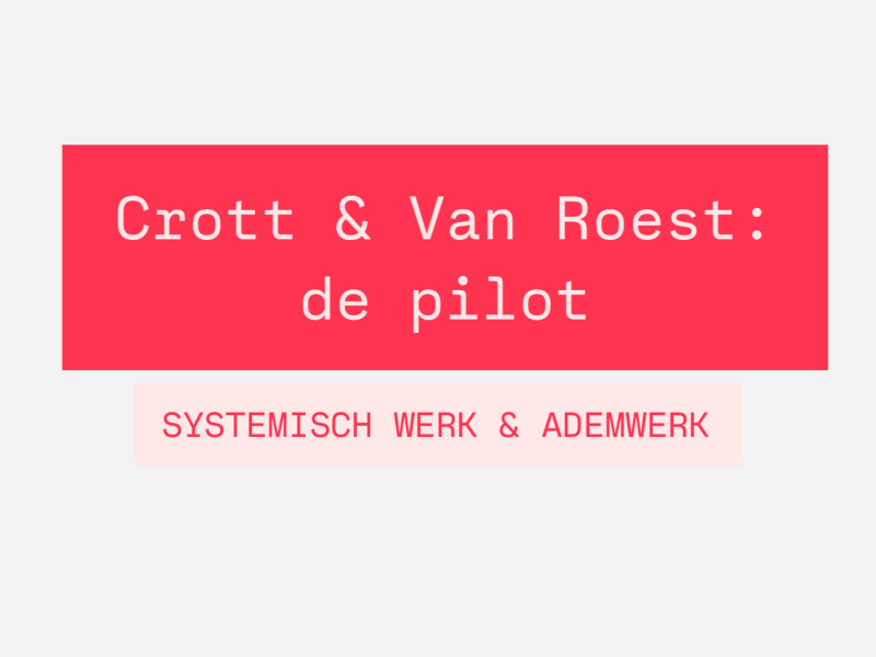 CROTT & VAN ROEST: DE PILOT - Systemisch werk, Ademwerk