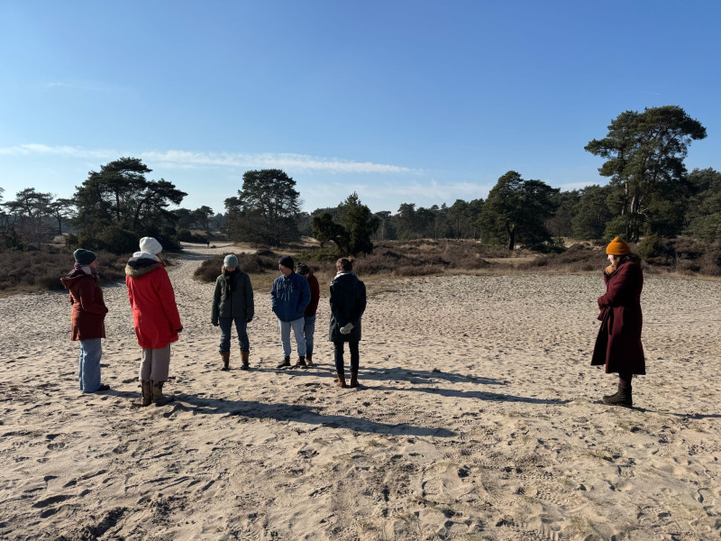 Intervisie Opstellingen begeleiden in de Natuur