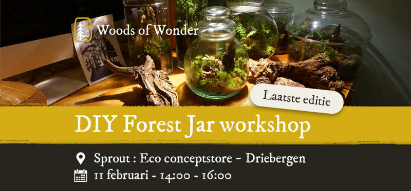 Forest Jar DIY workshop - Laatste editie @Sprout Driebergen