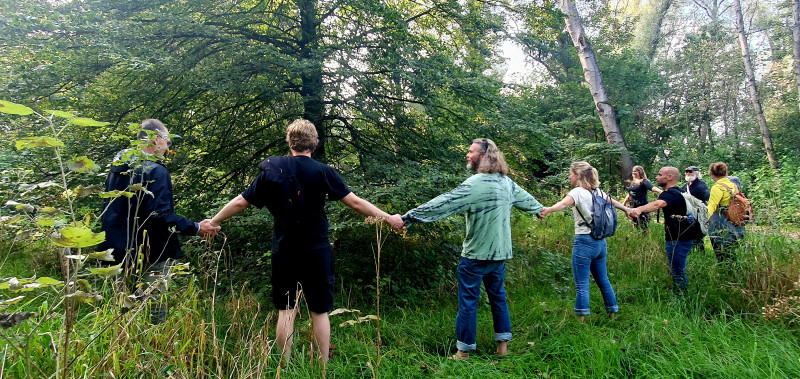 Detox Meditatie Wandeling - Meditatie, Wandelen, Detox
