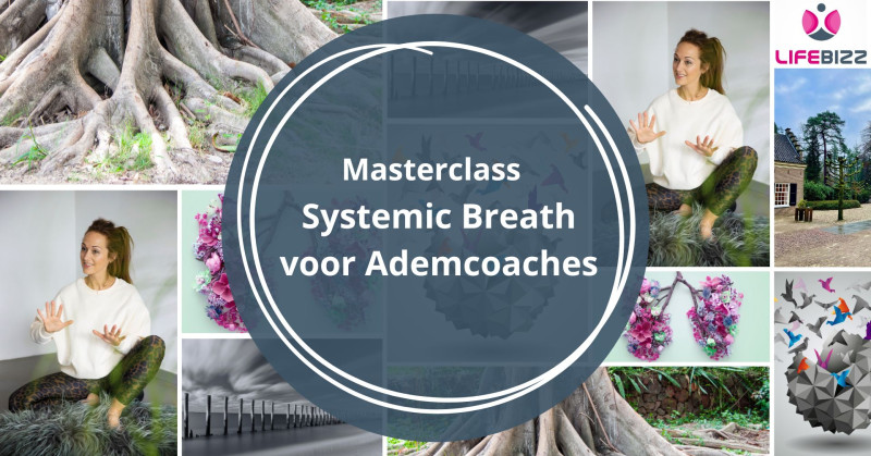 Masterclass Systemisch Ademwerk voor Ademcoaches 