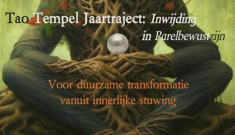 Tao Tempel Jaartraject: 'Inwijding in Parelbewustzijn'