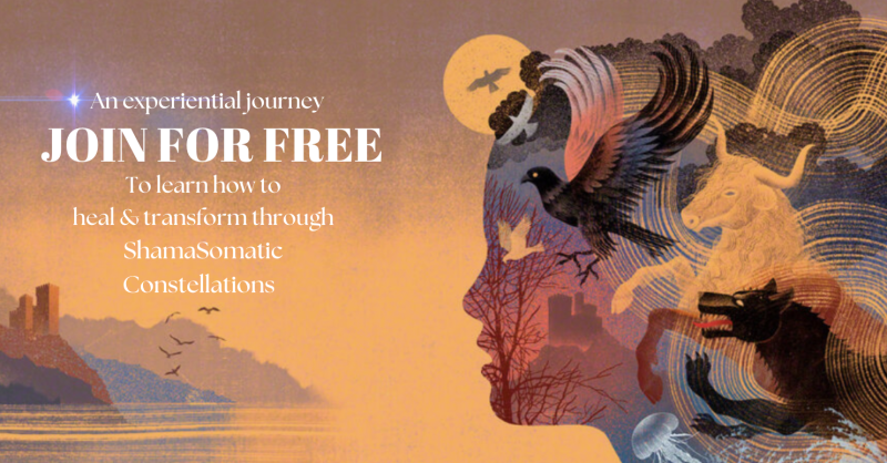 FREE Info Evening | ShamaSomatic Constellations Training |