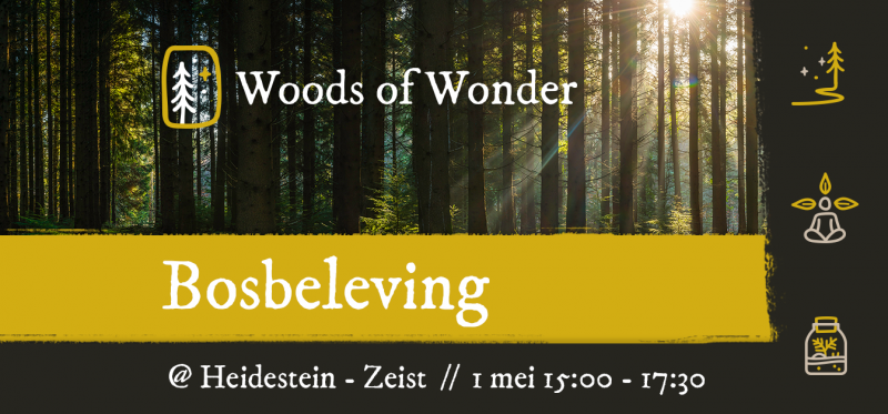 Bosbeleving - Natuur, Meditatie