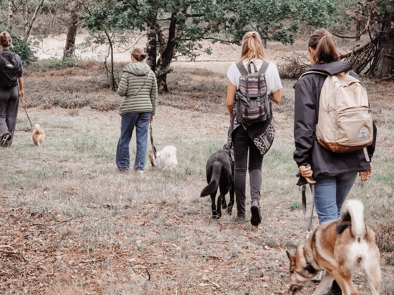 Pranadogs Breathwalk 11 oktober