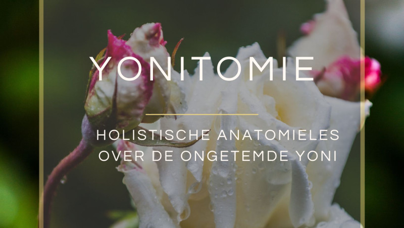 Yonitomie