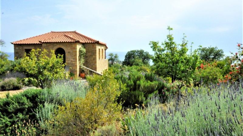 Somatic Yoga & Walking holiday in stunning Peloponnese, Greece