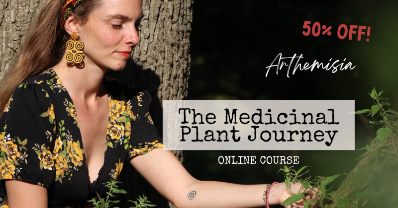 The Medicinal Plant Journey (online course)