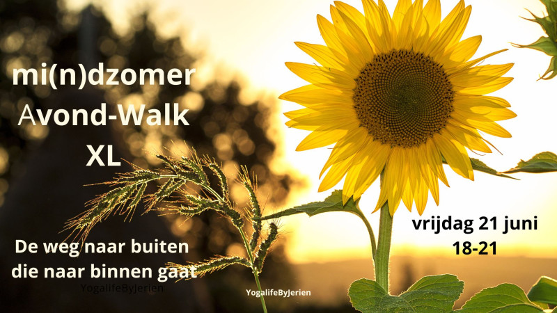 MidZomer-Avond-Wandeling - Naturaleza, Senderismo, Mindfulness