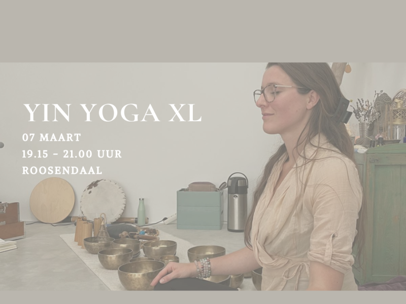 Yin XL