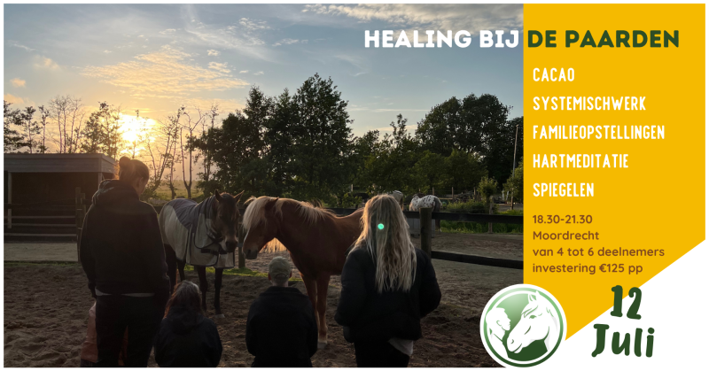 Healing bij de Paarden