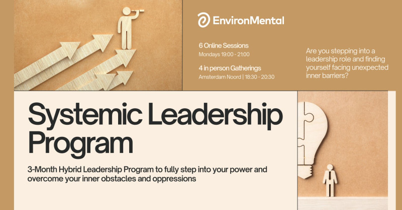 Systemic Leadership Program - hybrid online and in person