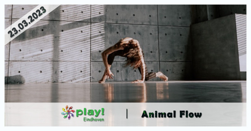 PLAY! Eindhoven - Animal flow (dance) - Hipsy