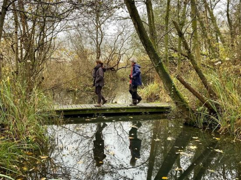 Mindfulness Monday walk (28 October) - Mindfulness, Hiking, Nature