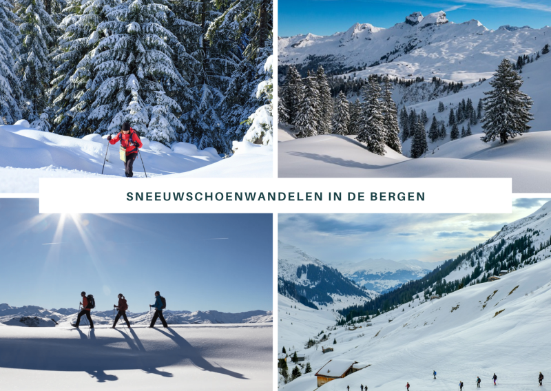 TerugTrekking Wintereditie: Sneeuwschoenwandelen in de Alpen