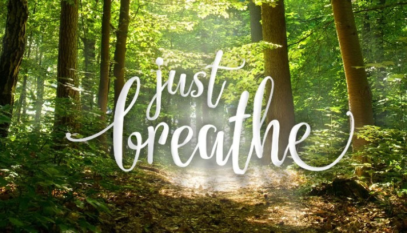 Lente Adem je Vrij Workshop met het Hout element en Soundhealing