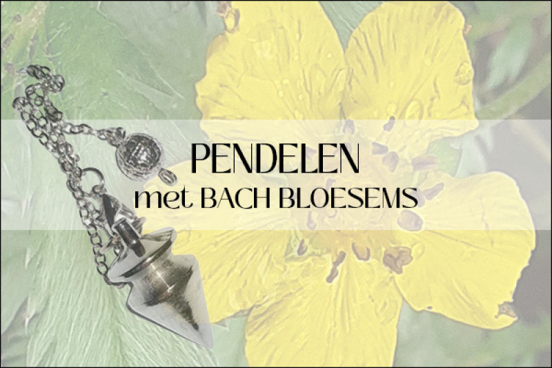 Pendelen met Bachbloesems en bloesemremedies (pendel of biotensor) - Zelfzorg, Healing, Overige Workshops