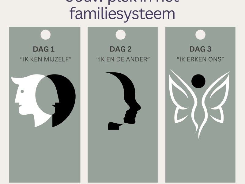 Drie-luik Systemisch werk/ 9 maart, 13 maart, 30 maart 2025