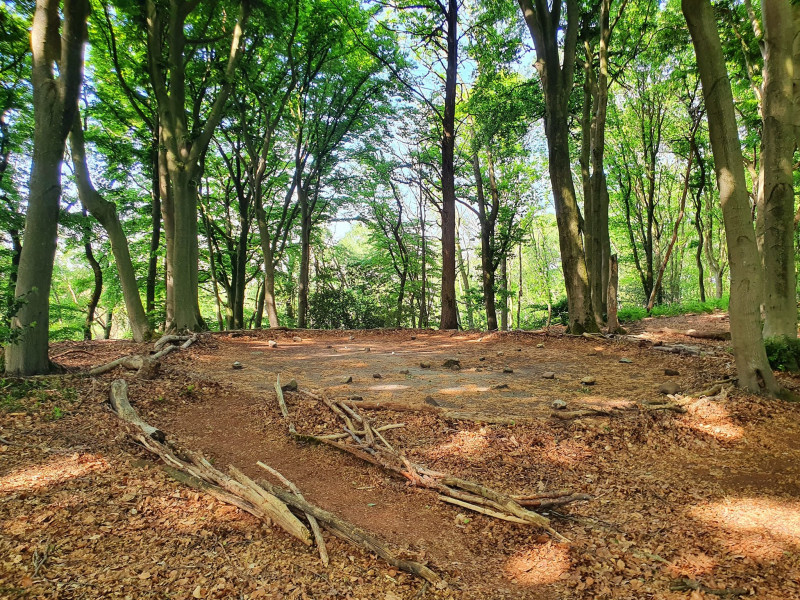 Krachtplekkentocht en introductie medicijnwiel St. Jansberg Milsbeek - Natuur, Sjamanisme, Medicijnwandeling