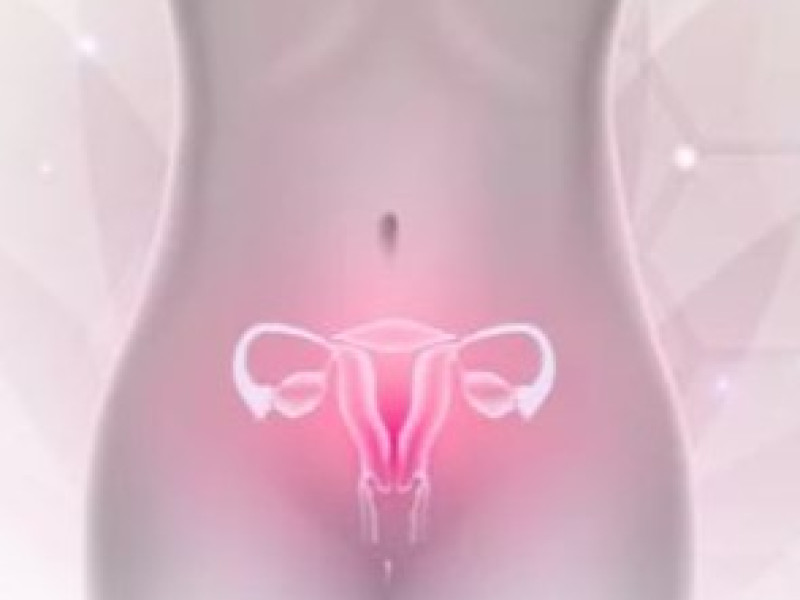 Bekken Zelfmassage ~ 26-01 & 16-02-2025 ~women only