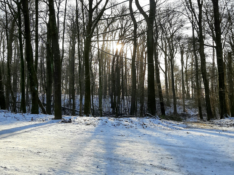 Workshop ☆ Spelen met je Stem ☆ Winter - Voice Expression, Voice Liberation, Other workshops