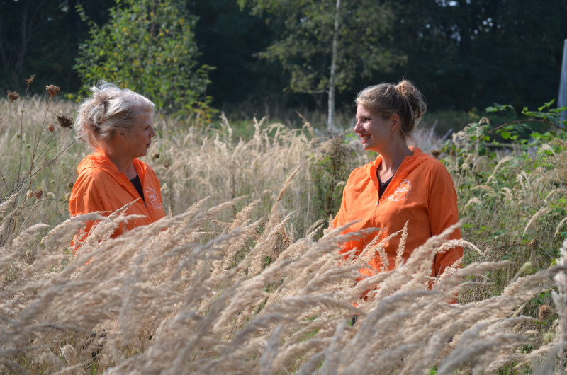 Cursus Shinrin-yoku –   Bosbaden