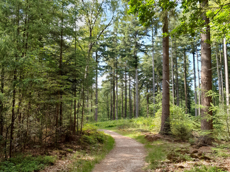 ErfAarding, Aardehoeden op de Toverberg