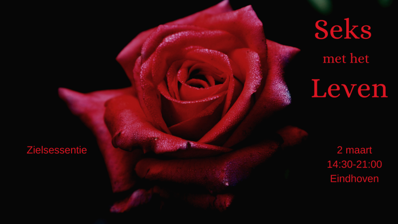 Seks met het Leven - Hipsy