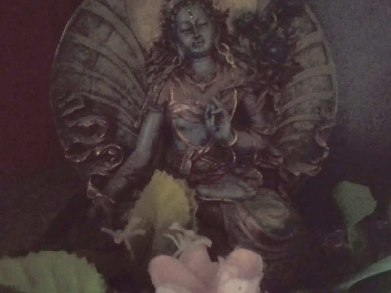 Rite of the Womb met sacred cacao en vleugje truffel - Intuitive Dance, Rite of the Womb, Ritueel