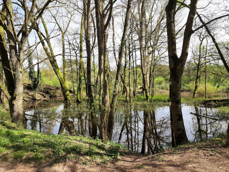 Workshop *Spelen met je Stem* Zomer  - Voice Expression, Voice Liberation, Other workshops
