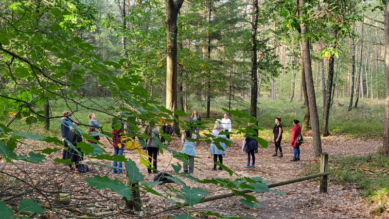 Wandel- en stilteretraite: Leer luisteren naar je eigen stem - Stilteretraite, Meerdaagse retraites, Mini retraite in de natuur