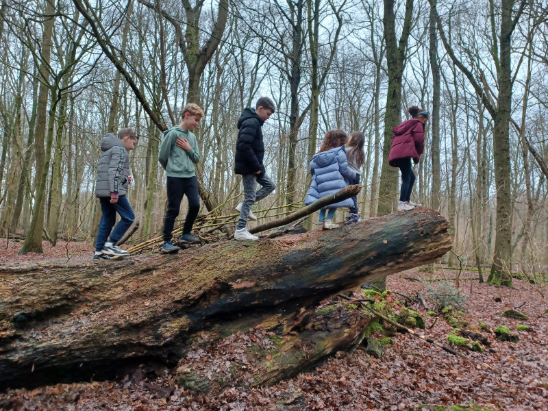Mindfulness Walk for Kids – spelen, ontdekken & wandelen!