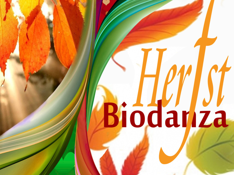 Go with the flow, biodanza in de herfstvakantie