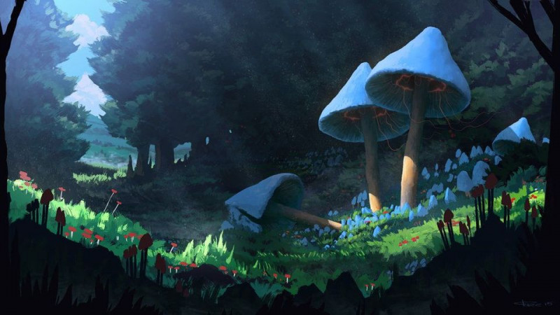 Sacred Mushroom Ceremony (with Shamanic Journey)