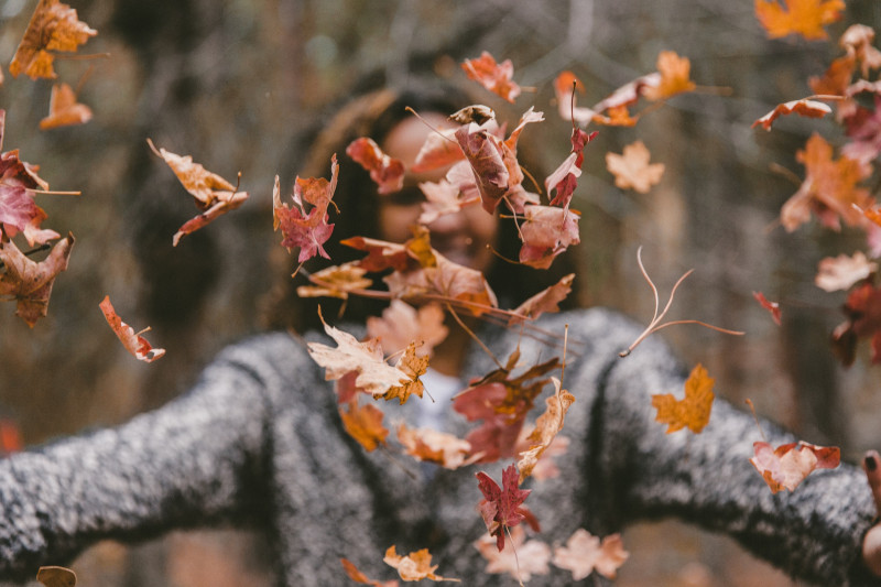 Autumn Afternoon Retreat - 'Let it go'