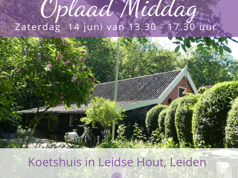 Oplaad Middag 🌸