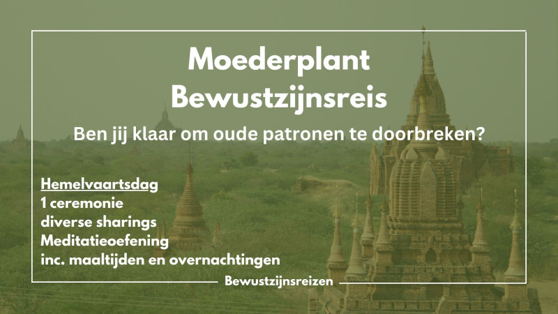 Moederplant Bewustzijnsreis - Plantmedicijn, Truffel Ceremonie, Innerlijke Reis