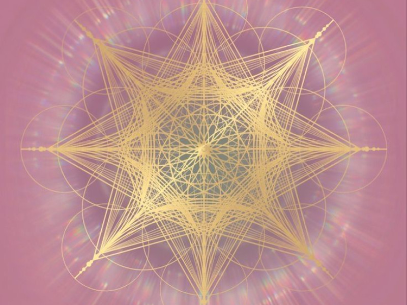Womb Wellness Yoga - Nieuwe Maan
