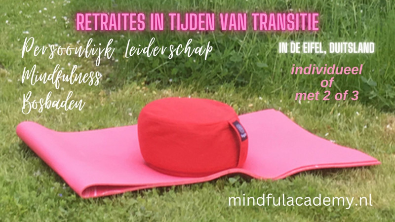 Retraites in tijden van transitie | Retraiteweekend in de Eifel - Meerdaagse retraites, Retraite 1-op-1, Bosbad - Shinrin Yoku