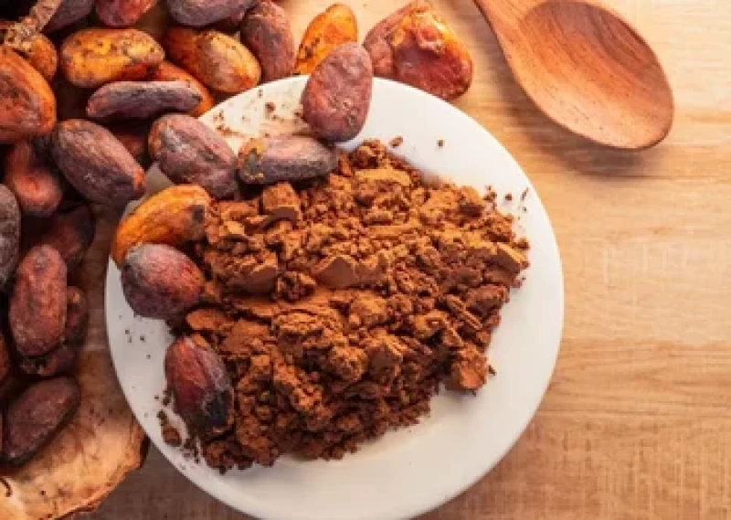 Cacao Journey & Aerial Sound Healing