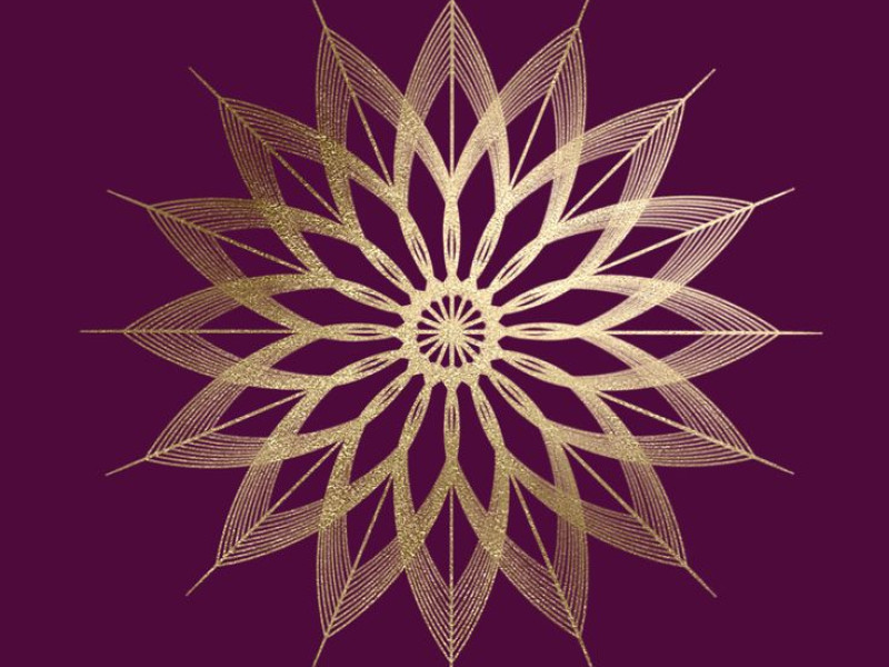 Womb Wellness Yoga Nieuwe Maan